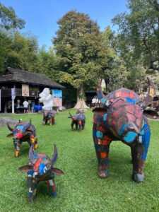 art festival photo
